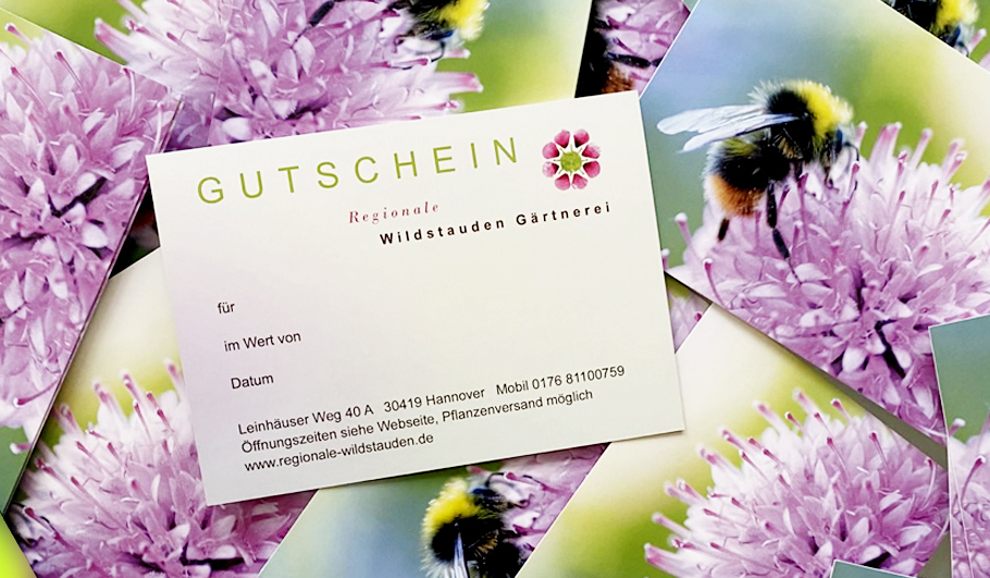 Gartenplanung Wildstauden Gärtnerei Gutschein