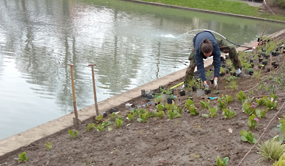 Gartenplanung Wildstauden Gärtnerei