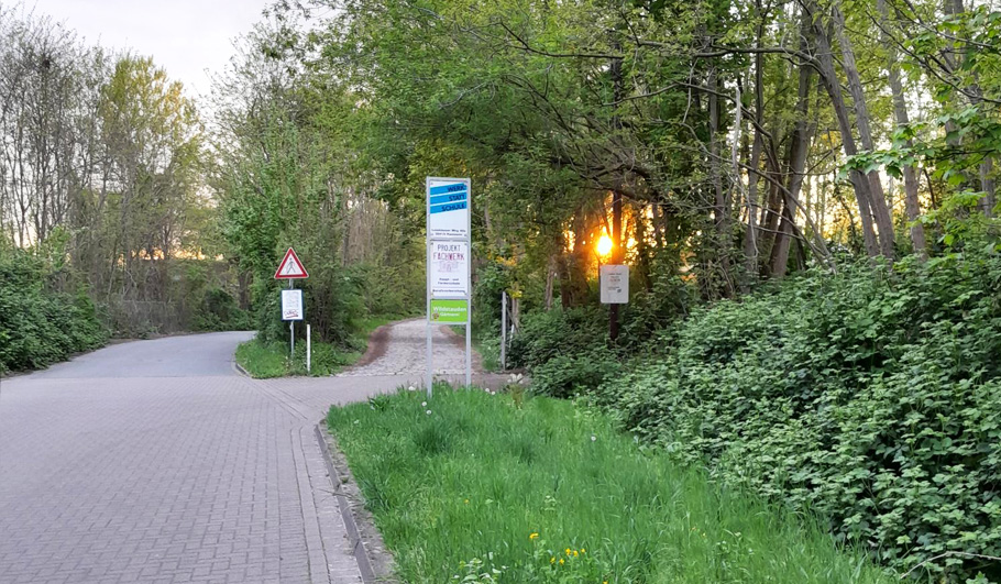 Gartenplanung Wildstauden Gärtnerei