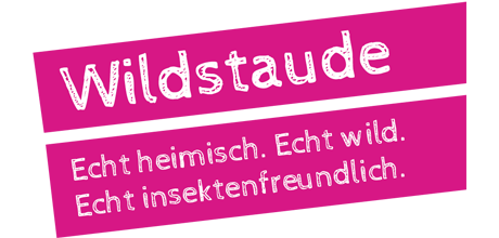Wildstaude