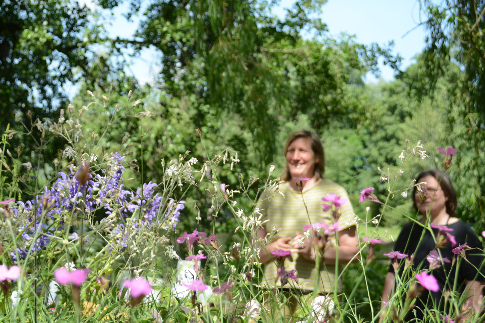 regionale Wildstauden Gärtnerei Jessica Zahn