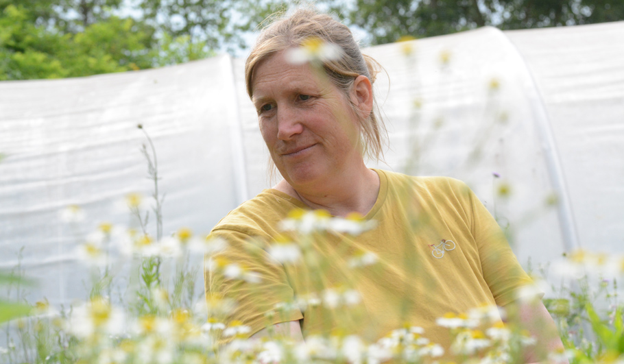 Jessica Zahn Gartenplanung Wildstauden Gärtnerei